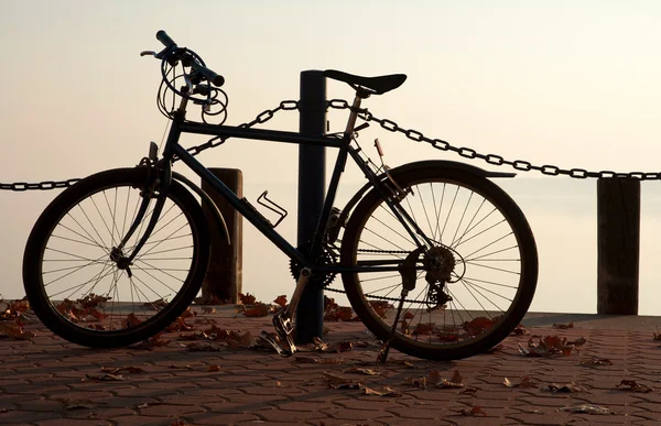 Kerékpár a mólón, a balaton, Magyarország — Stock Fotó
