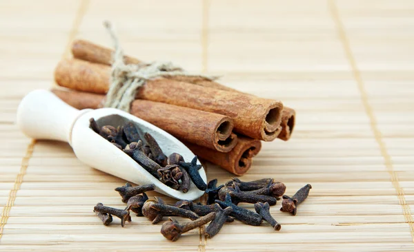 stock image Cloves and cinnamon