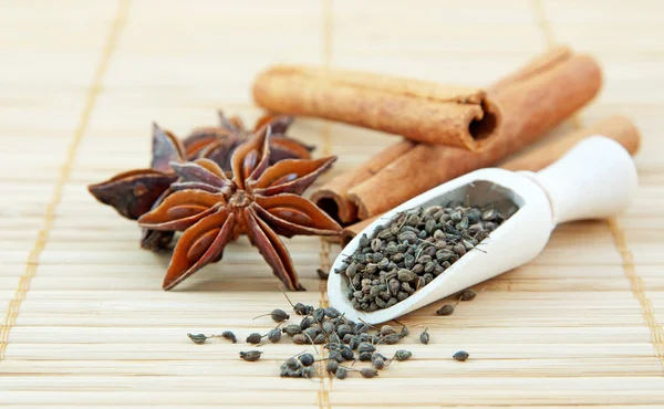 stock image Anise and cinnamon