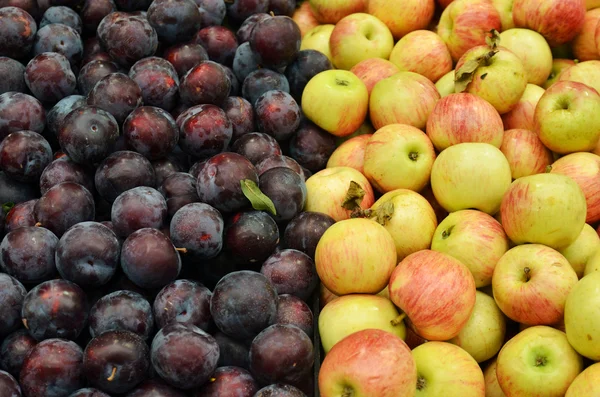 Close up of fruits on market stand — Stock Photo, Image