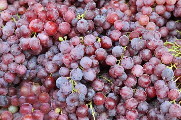 stock image Close up of red grapes