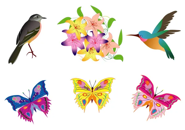 Векторная иллюстрация с птицами, бабочками и цветами — стоковый вектор