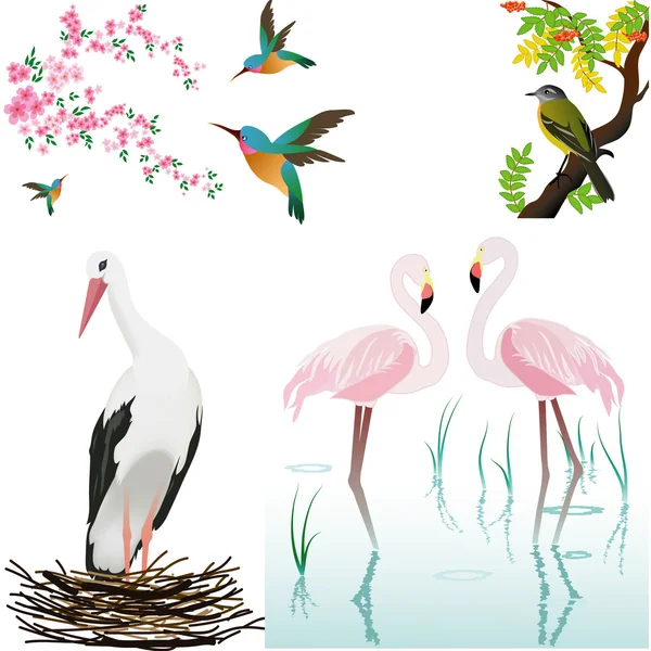 Vector illustration with birds and flowers — Stock Vector