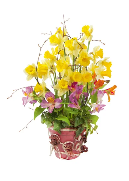 The daffodils in a ceramic pot — Stock Photo, Image