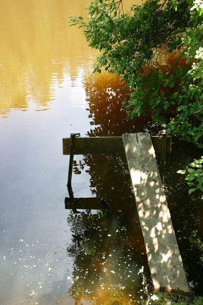 Pond in summer day — Stock Photo, Image