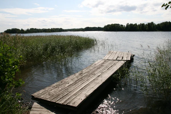 Teich an Sommertagen — Stockfoto
