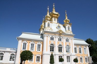 Petrodvorets-peterhof palace St. petersburg Rusya