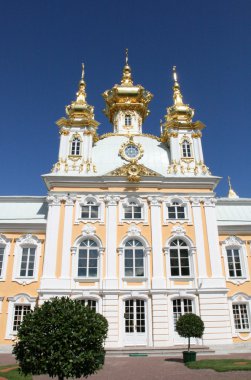 Petrodvorets-peterhof palace St. petersburg Rusya