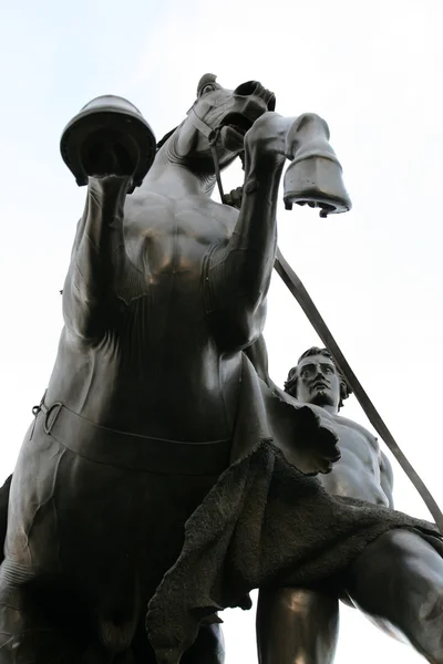 Пам'ятник коня приборкувачів Санкт-Петербург — стокове фото