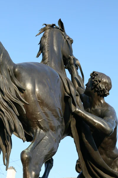 Koně krotitel památník st petersburg — Stock fotografie
