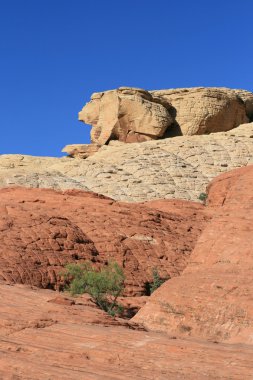 Red Rock Canyon Nevada