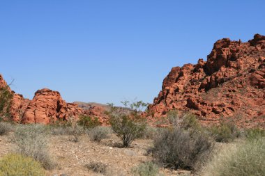 Valley of Fire Nevada