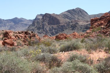 Valley of Fire Nevada