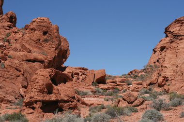 Valley of Fire Nevada