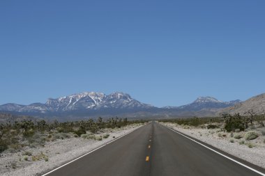 Nevada 'daki Bahar Dağları Yolu