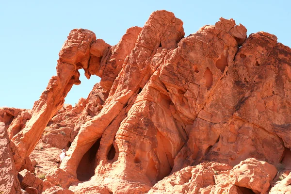 Rocher d'éléphant dans la vallée du feu Nevada — Photo