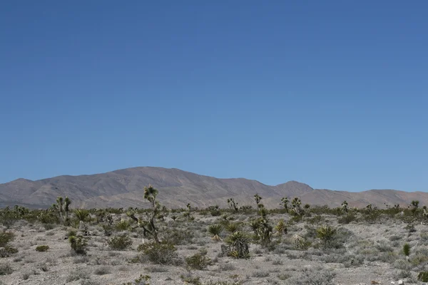 Montagne primaverili Nevada — Foto Stock