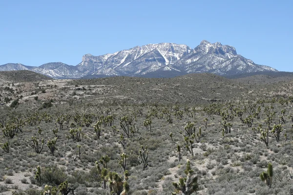 Montañas de primavera Nevada — Foto de Stock