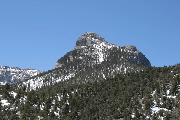 Våren bergen nevada — Stockfoto