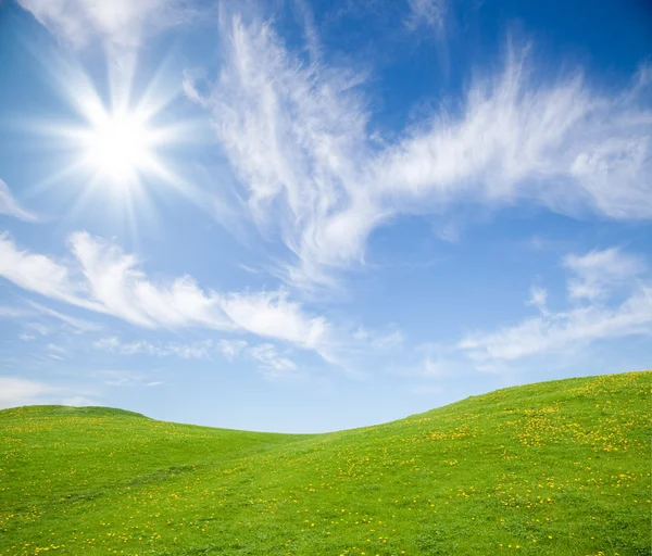 Campo di erba verde contro cielo blu — Foto Stock