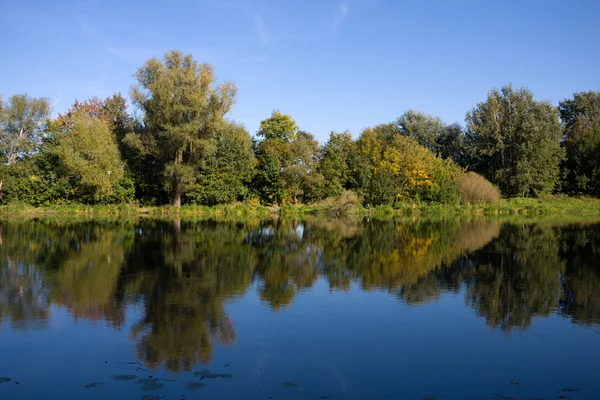 Reflejo de árboles en un lago — Foto de Stock