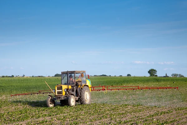 Traktor gödsla rödbetor fältet — Stockfoto