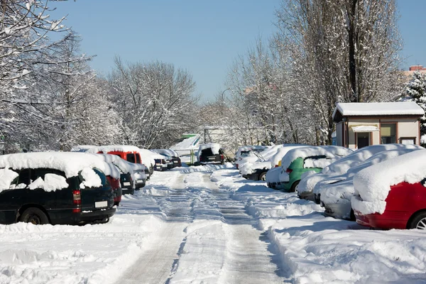 Carros cobertos de neve no estacionamento — Fotografia de Stock