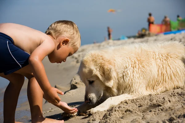 Menino brinca com cão na praia — Fotografia de Stock