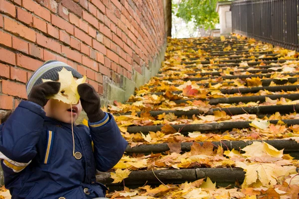 Kleiner Junge googelt in Herbstlandschaft herum — Stockfoto