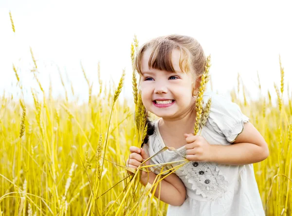 Flicka på vetefältet — Stockfoto