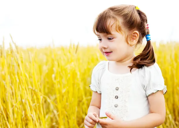 Meisje in het tarweveld — Stockfoto