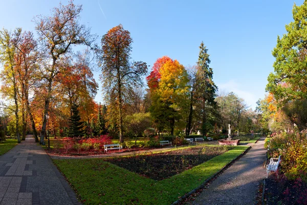 Осінь у парку — стокове фото