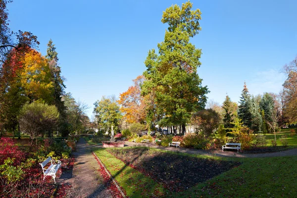 stock image Autumn in park