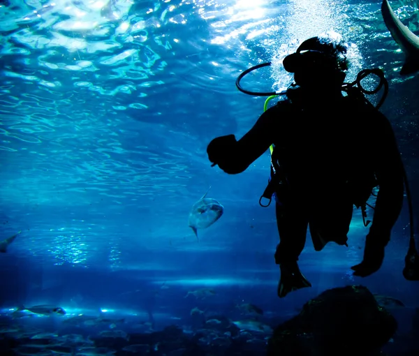 Plongée sous-marine dans l'océan — Photo