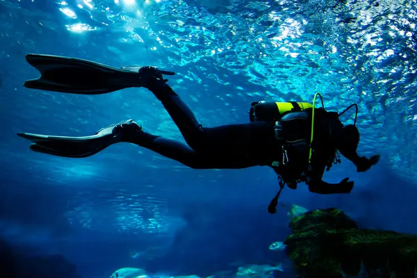 Duiken in de oceaan onderwater — Stockfoto