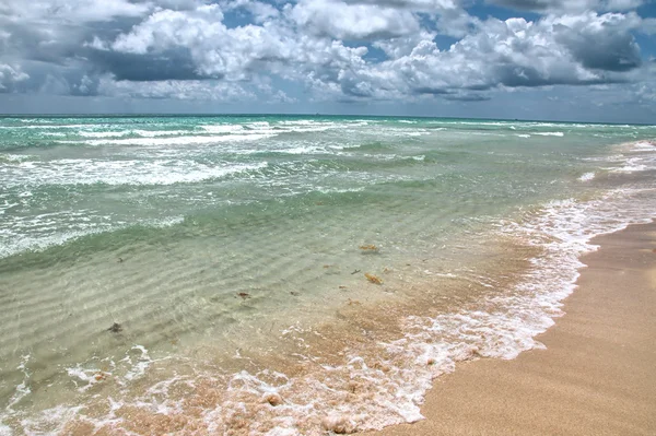 Playa del océano — Foto de Stock