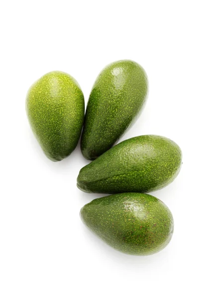 아보카도 과일 — 스톡 사진