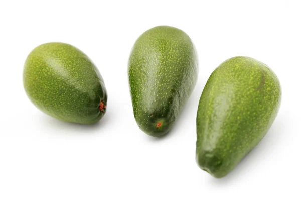 Frutos de abacate — Fotografia de Stock