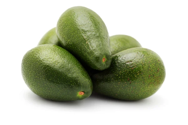 Avocado vruchten — Stockfoto