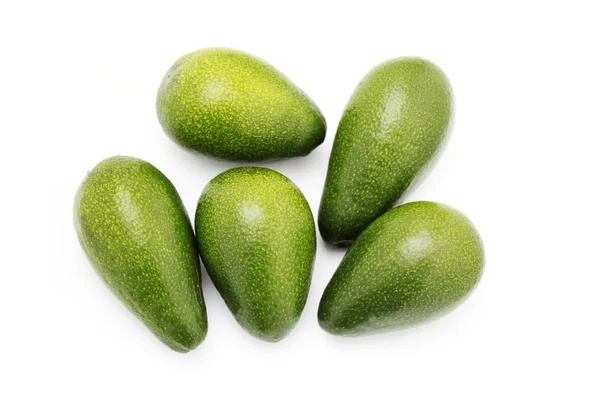 Avokado frukter — Stockfoto