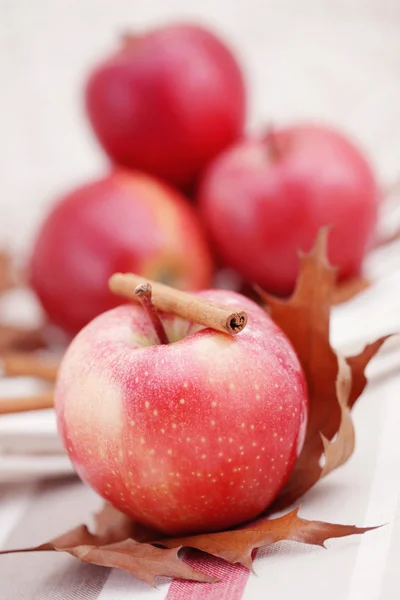 Яблуко з корицею — стокове фото