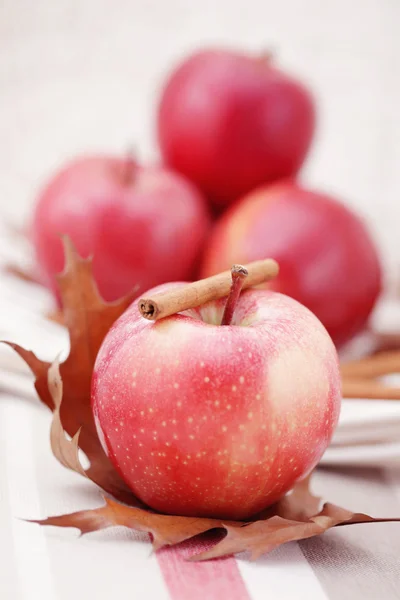 Apfel mit Zimt — Stockfoto