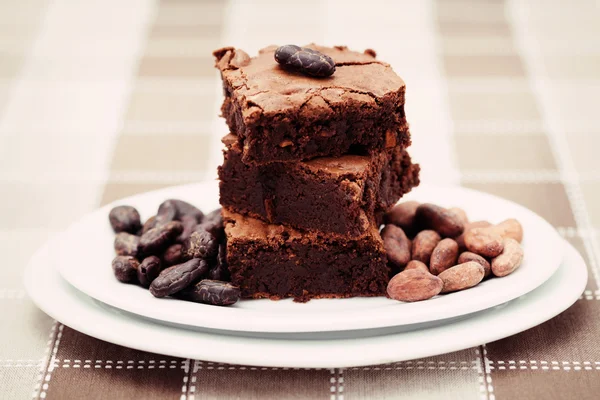 Läckra brownie — Stockfoto