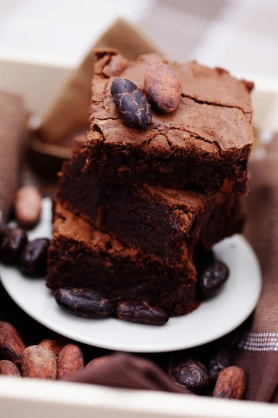 Υπέροχο brownie — Φωτογραφία Αρχείου