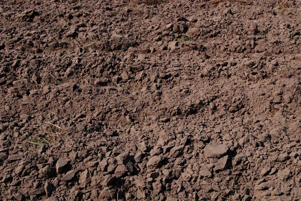 Closeup φόντου της φρέσκο χώμα — Φωτογραφία Αρχείου