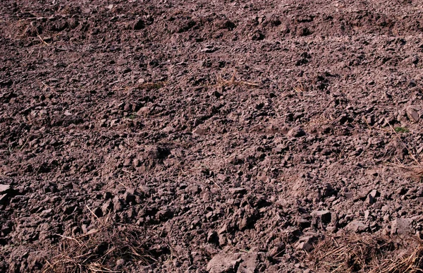Closeup φόντου της φρέσκο χώμα — Φωτογραφία Αρχείου