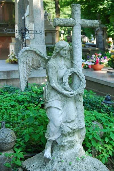 Zabytkowy cmentarz w Sandomierzu, Polska — Zdjęcie stockowe