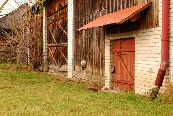Vecchio capannone in legno — Foto Stock