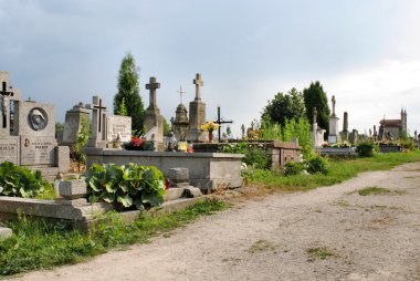 Old cemetery in Momina, Poland clipart