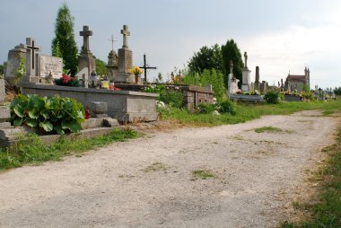 Old cemetery in Momina, Poland. clipart